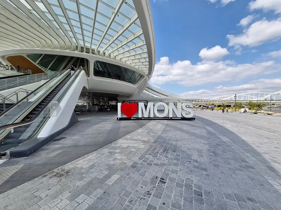 Moi dans le train à Namur qui vient de démarrer direction Mons.